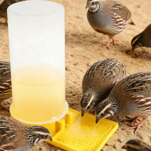 Large Capacity Quail Water Feeder with Small Cleaning Brush,Button Quail Supplies for coturnix cage,Baby Chick Water Feeder for Poultry Starter,Universal for Baby Chicks/Baby Birds