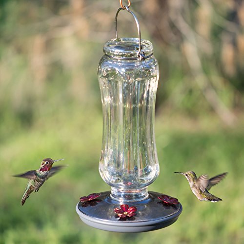 Perky-Pet Starglow Vintage Glass Hummingbird Feeder - 16 fl oz capacity - Humming Bird Feeder for Outdoors - 8132-2 - color: Irridescent, style: Vintage