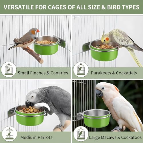 Stainless Steel Bird Bowls for Cage (8 Pack)– Green Hanging Bird Food & Water Feeder Cups with Clamp Holder, Anti-Spill Bird Cage Feeders for Parakeets, Cockatiels, Conures, Budgies & Small Animals - size: 8 pcs