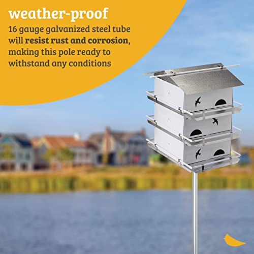 Birds Choice Premium Aluminum Purple Martin House – 8 Room, 2 Floor Birdhouse with Starling Resistant Entrance Holes, Ventilated Roof & Easy Cleaning, Unassembled | Starling Resistant Entrance Holes, Ventilated Roof, Easy Access for Cleaning, Ships Unasse