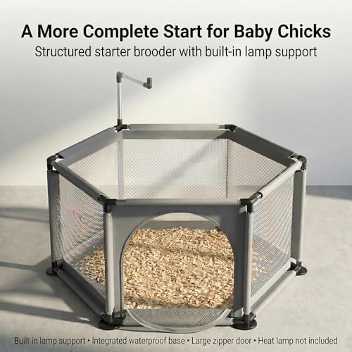 Chicken Brooder for Chicks, Indoor Hexagon Brooder Pen with Integrated Waterproof Base, Large Zipper Door and Lamp Support Extension, Starter Enclosure for 6–8 Baby Chicks, Approx. 7.16 Sq Ft - color: Grey