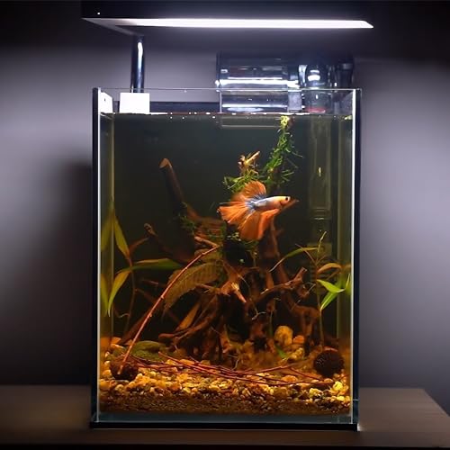 Natural Small Driftwood for Aquarium Decor Fish Tank Decor Reptile Decor | Assorted Driftwood Branch, Natural Driftwood for Aquascaping and Reptile Decor - size: Spiderwood 2 to 4.5 Inch(Pack of 10)