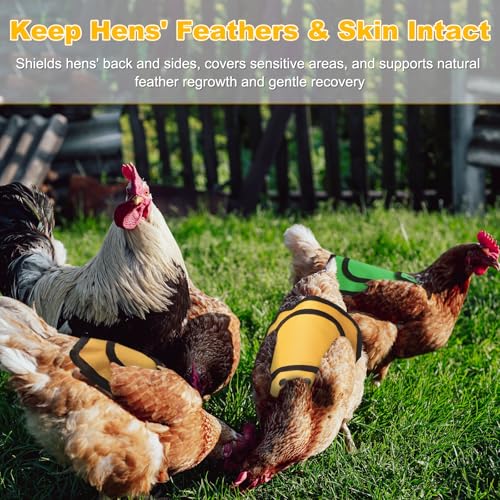 M METERXITY 4-Pack Chicken Saddle for Hens, 9.8 Inch Canvas Chicken Apron Back Protector with Adjustable Strap for Protecting Bird Back Feathers, Poultry Saver [Mixing 4 Styles C] - color: Neon Green/Grass Green/Burgundy/Lavender