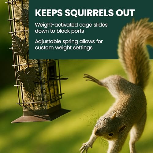 Perky-Pet Squirrel-Be-Gone Bird Feeder, 2 lb Seed Capacity | Weight-Activated Squirrel Proof Bird Feeder, Wild Bird Feeder for Outdoors with U-Shaped Perches and Clear Seed Reservoir