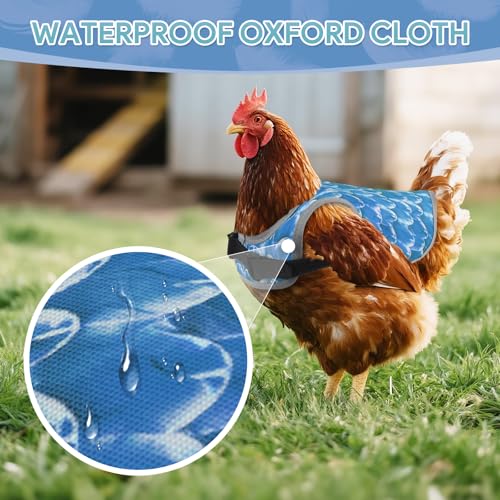 Chicken Saddles for Hens, Chicken Aprons for Hens with Adjustable Straps, Hen Saddle for Chickens - color: Blue,Green,Grey