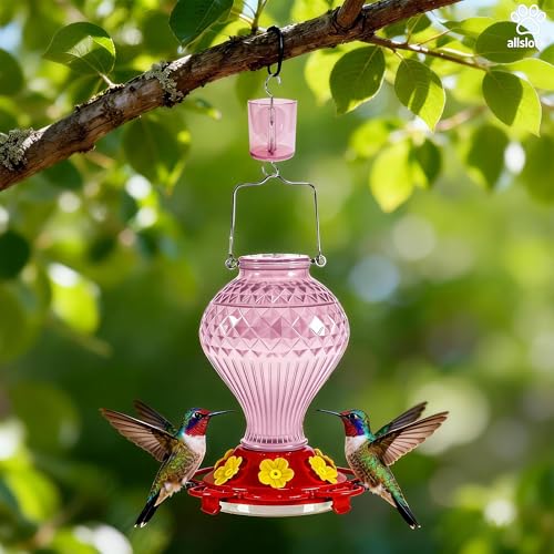 Glass Hummingbird Feeder for Outdoors Hanging, 20 oz Nectar Capacity, 6 Feeding Ports, Leak-Proof Rust-Free Plastic Base, Easy to Refill & Clean, Decorative Pink Glass Bird Feeder for Garden Patio - color: Pink, size: 20 Fluid Ounces