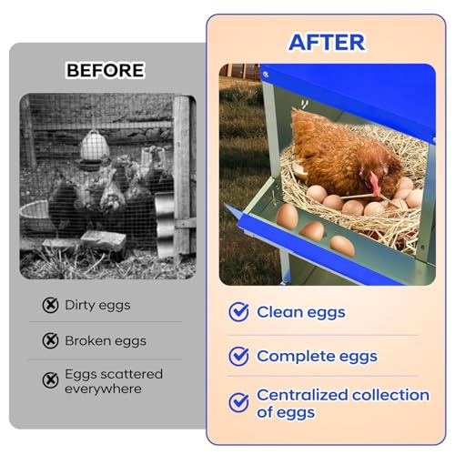 8 Compartment Chicken Nesting Box, Heavy Duty Metal Laying Box with Perch, - color: Blue, size: 8 Compartments with legs