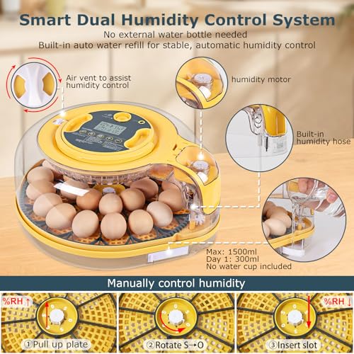 Egg Incubator, 26 Chicken/59 Quail Eggs Incubators for Hatching Eggs with Temp & Humidity Control, Auto Egg Turner, Adjustable Hatch Day & Air Vent, Egg Candler, Auto Water Refill, 360° Clear View - size: 26 Eggs