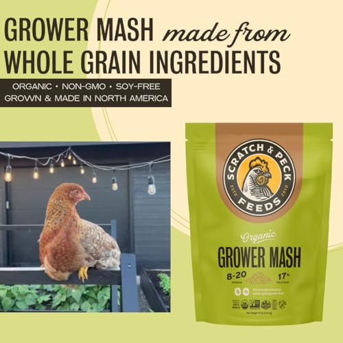 Scratch and Peck Feeds | Grower Mash for Chickens & Ducks | 10 lb Pouch | 17% Protein, Corn & Soy Free, Fermentable Whole Grains, Certified Organic & Non-GMO Project Verified, Complete Nutrition - size: 10 Pound (Pack of 1), style: Grower Feed