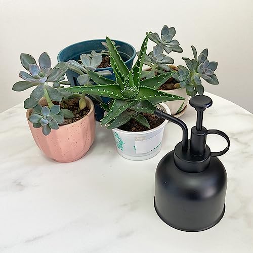Stainless Steel Plant Sprayer, Small Watering Can, Modern Gardening Tool for Indoor Potted Plants - color: 10oz/matte black