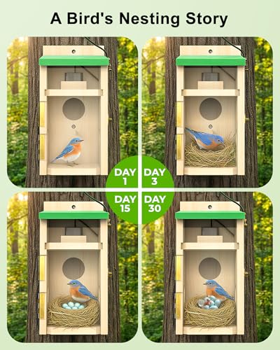 Bird House with Camera,Solar Smart Birdhouse with Camera Inside | Motion Detect & Night Vision,App Control,Wi-Fi Bird Watching for Backyard Nesting,Bird House for Outside with Camera,Green - color: Light Green