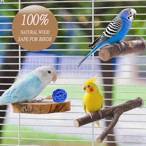 8 PCS Natural Wood Bird Perches Stand for Cage, 5 PCS Parrot Rattan Balls, Wooden Hanging Multi-Branch Perches Platform, Hammock Swing Toy for Parakeets, Budgies, Cockatiels, Conures, Macaws (13 PCS)