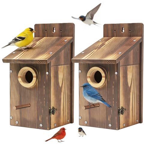 2PCS Bird Houses for Outside – Carbonized Bluebird Houses for Outside With Round Entry Hole & Perch， Features Clear View Window & Predator Guard， Perfect for Bluebirds, Finches, Swallows & More