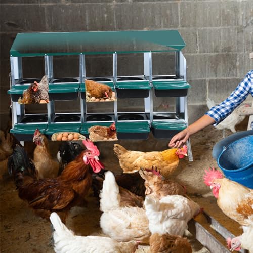 Chicken Nesting Box, Green 10 Hole Chicken Laying Box with Bracket, Tray for Egg Collection, Large Holes for Ventilation, Suitable for Chickens & Ducks - color: Green, size: 59.1"L x 23.6"W x 35.4"H
