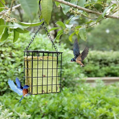 Suet Feeder for Outdoor Garden Yard Patio Hanging Metal Suet Cake Holder Squirrel Proof Weatherproof Bird Parrot Feeders Single Suet Cage for Wild Birds Woodpecker Hummingbird - style: Without Roof Top