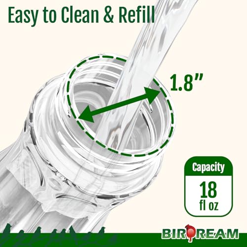 Birdream Glass Hummingbird Feeders, 18oz Large Capacity, Clear | 5 Feeding Ports, Built-in Ant Moat, For Outdoors Hanging, Decorative for Garden Patio Backyard - color: Clear