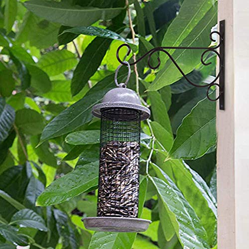 Fashion&cool Hanging Plant Brackets, Pack of 2 10 inch Iron Wall Mount Plant Hanging Hooks Metal Wall Brackets Hangers for Indoor Outdoor Planter Bird Feeder Lanterns Wind Chimes with Screws