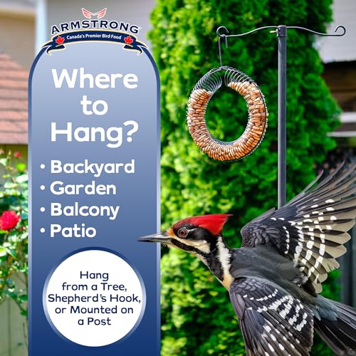 Armstrong Wild Bird Food Wreath-Shaped Peanut Feeder - Durable Metal Hanging Coil Feeder for Blue Jays & Nut-Loving Birds - Holds Peanuts in Shell for Outdoor Birdwatching and Wildlife Feeding - style: Peanut Coil