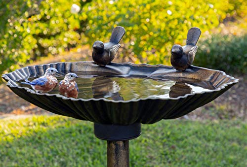 Westcharm 29 Inch Lightweight Antique Bronze Poly Resin Outdoor Birdbath for Outside with Decorative Birds and Pedestal Base Stand - Pedestal Bird Bath for Outdoors Yard and Garden - color: Bronze, size: 29 Inch Tall