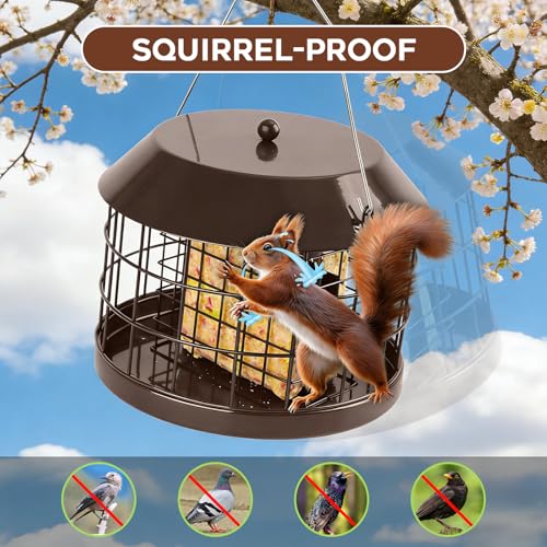 Gbekery Caged Suet Bird Feeder for Outdoors Hanging, Squirrel Proof Double Suet Feeder for Small Birds, Metal Cage with Detachable Hook, Large Space, Outdoors Weatherproof, Brown - style: Brown Suet Cage