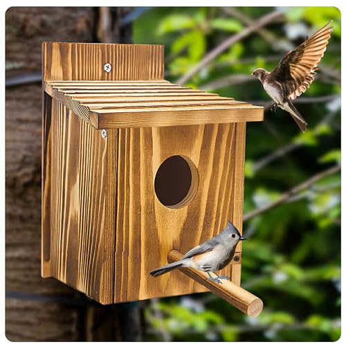 2 Pack Birdhouses for Outdoors,Wooden Wren Birdhouse with Detachable Perch,Finch Bluebird Houses Hanging Birdhouse for Outdoors - size: 2 Pack