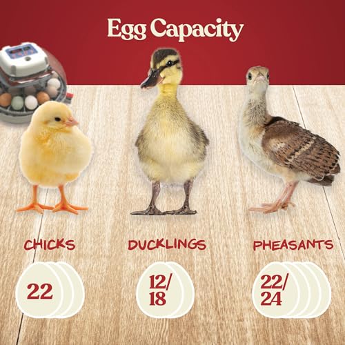 Harris Farms Nurture Right Egg Incubator with Auto Turner, Holds 22 Eggs