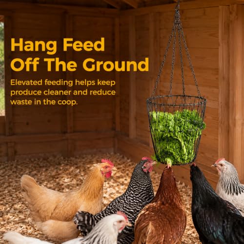 2 Pack Foldable Iron Hanging Chicken Feeder, 6.4 Inch Poultry Feeder Basket with Hanging Chains, Vegetable Hanging Feeder for Duck Rabbit Goose Coop Boredom Relief Toy