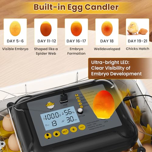 Incubators for Hatching Eggs, 30 Chicken Eggs Incubator with Automatic Egg Turning, Dual Power Supply, Egg Candler, Temperature & Humidity Control with Alert Function, Auto Water Filling