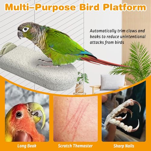 PINVNBY 3 PCS Large Bird Cage Perch Natural Parrot Beak Grinding Stone Calcium Parakeet Chew Toy Bird Stand Platform for Cockatiel Conure Lovebird Finch - color: Grey, size: L, 3 pcs
