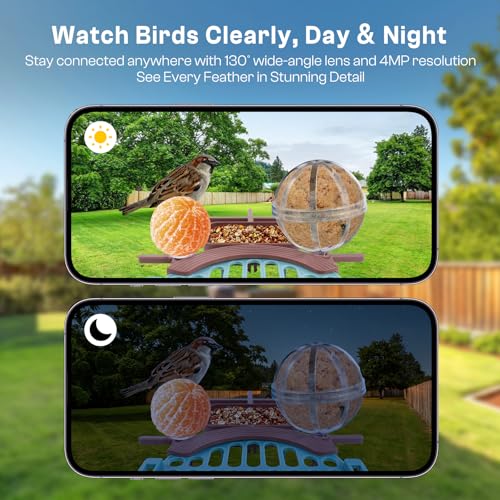 Smart Bird Feeder with Camera - AI Identify 10000+ Bird Species, Solar Powered Bird House with 1080P Color Night Vision, Auto Capture Bird Videos, Wireless Outdoor Camera, Ideal Gift for Nature Lover
