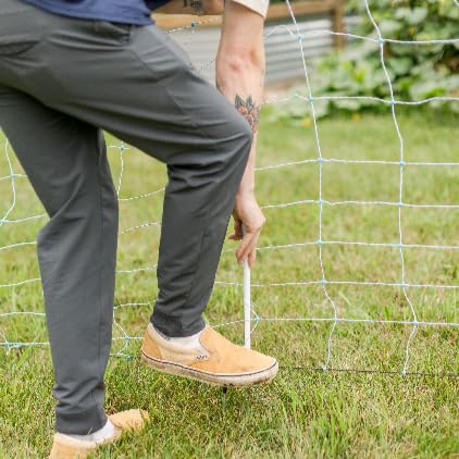 Electric Netting Fiberglass Posts 5-Pack (42" Double-Spiked Fiberglass - 5 Pack) - size: 42" Double-Spiked Fiberglass - 5 pack