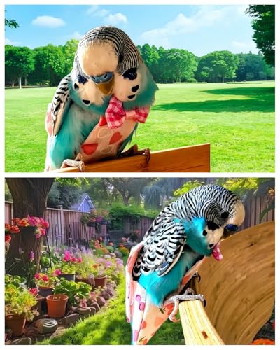 5 Pcs Bird Diapers Bird Harness Flight Suits Diapers Reusable Parrot Nappy with Waterproof Inner Layer Washable Cute Urine Wet Suit for Cockatiel Budgie Conure Macaw Parakeet Lovebird,S - size: S