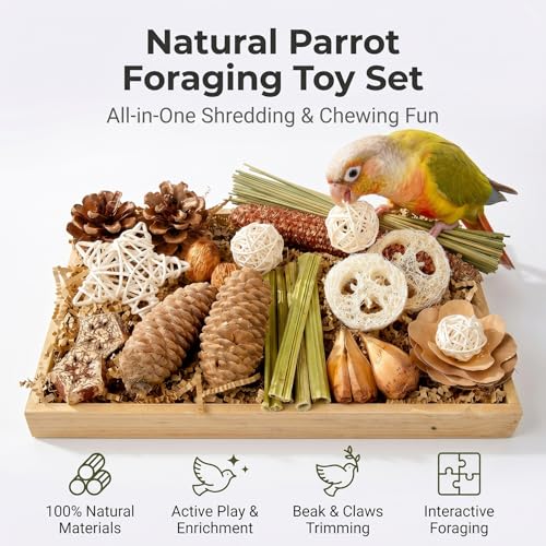 Natural Parrot Foraging Chew Box Toy for Small Medium Parakeets | Shredding molar cage accessory with pine cones, rattan balls & loofah slices; interactive toy for conures, lovebirds