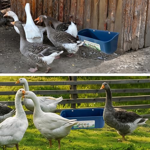 3 Pack 6 Quart Chicken Duck Feeder Trough, Blue | Fence Mount Hanging Feeder with Clips; Fits Chicken, Duck, Geese, Turkeys, Goats & All Farm Livestock Coop Feeding - color: blue