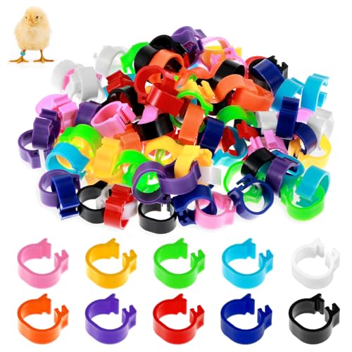 100PCS 10mm Coturnix Quail Leg Bands, Baby Chick Band, Dove Leg Bands, Quail Bird Identification Clip on Baby Poultry Foot Rings for Bantam Finch Dove Lovebird Coturnix Quails Small Birds