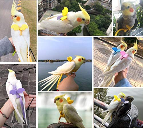 Adjustable Bird Harness Leash Parrot Flying Rope Straps Outdoor Training Traction Rope for Small Parrots, Random Color