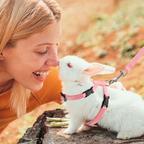 Outus 5 Pieces Adjustable Rabbit Harness and Leash Set Escape Proof Bunny Harness Vest for Pet Running Walk Jogging Bunny Cat Puppy Kitten Ferret and Other Small Pet(Fresh Color) - color: Fresh Color