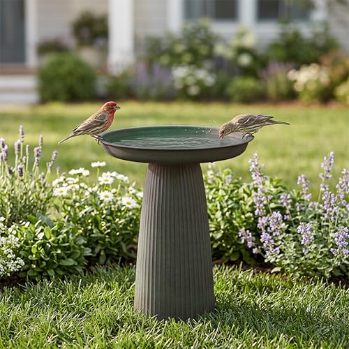 Sunnydaze Modern Bird Bath for Outside, Iron, 23” H, Matte Green | UV & Rust-Resistant Matte Finish, Durable Iron,1 Gal Water Cap, Outdoor Birdbath for Garden, Pedestal Bird Bath with Bowl - color: Matte Green