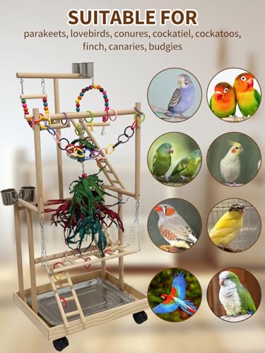4-Tier Large Wooden Bird Playground with Wheels, Natural Wood Parrot Play Stand Birds Perch Stand Gym with Ladder Toy Accessories for Cockatiel Cockatoo Quaker