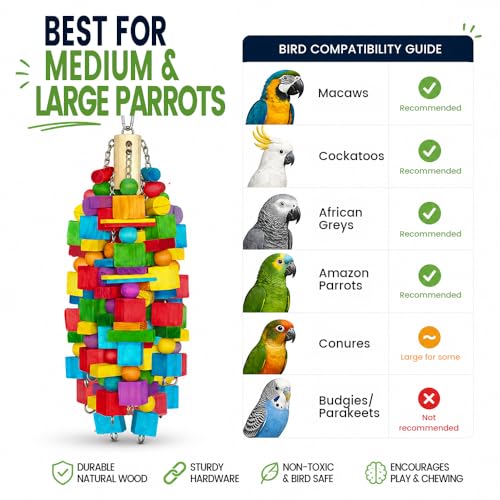 Large Bird Toy, 20 in XL Parrot Toys Natural Wood Blocks Bird Chew Toy for Foraging, Stainless Steel Chain Hanging Cage Toy for Macaws, Cockatoos, African Greys and Large Parrots-1.65 lb