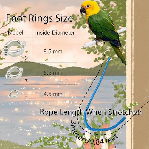 Bird Leash, Anti-Bite Parrot Harness Retractable Bird Flying Rope with 3Pcs Different Sizes of Foot Rings, Elastic String Training Harness Parrot Flight Rope (Blue, 118 Inches) - color: Blue, size: 118 Inches