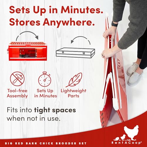 RentACoop Big Red Barn Chick Brooder Set with Heating Plate