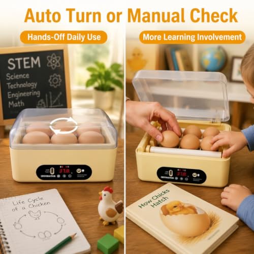 GROZY 6 Eggs Egg Incubator, USB Powered Automatic Hatching Machine with Digital Temperature Control & LED Display, Mini Poultry Hatcher for Chicken, Duck, Quail, Pigeon Eggs