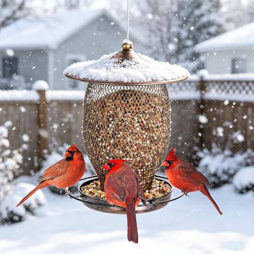 LBTING Wild Bird Feeder, Long Lantern-Shaped | Metal, Hanging Outdoors Outside Garden Yard Decoration - style: Round Long