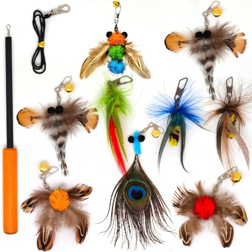 miwoowim 10PCS Retractable Cat Wand Toy with Natural Feather Insect Refills | Sturdy wooden handle with 4-section telescopic rod (8.3"-26.4"). Interactive Kitty Toys on a Stick.Promotes healthy exercise - color: 10 PCS Retractable Wand Feather Insects