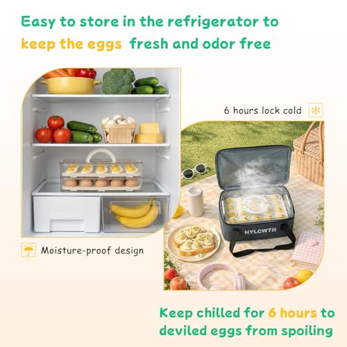 2 Pack Deviled Egg Containers with Lid, Durable Deviled Egg Platter, Fridge Portable Egg Tray with Lids for Party, Thickened Deviled Egg Carrier with Portable Insulated Bag and Piping Decorating Kit