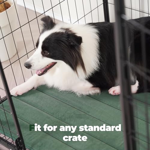 BALANCE Dog Crate Pad, Dog Foam Crate Mat Kennel Pad, Washable Water-Resistant Pet Bed Flat Dogs Cage Mat for Small Dogs - color: Green, size: 24.0"L x 18.0"W x 0.8"Th