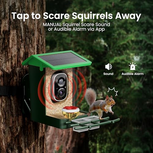 Bird Feeder with Camera Solar Powered 2K HD Video, 10,000+ Species AI Recognition, Real-Time App Alerts, and Weatherproof Design for Effortless Birdwatching, Gift for Bird Lovers, Grass Green - color: Grass Green