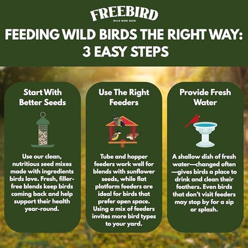 Freebird Premium No Mess Bird Seed for Outdoor Feeders - 7 lb | Shell-free blend with sunflower hearts and peanut pieces for less waste and cleaner feeders. Premium no-mess wild bird food.