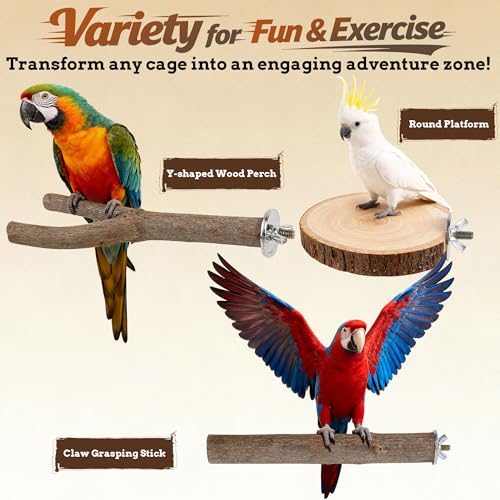 8 PCS Bird Perch Set | Natural Birch Wood, Straight & Forked Perches with Platforms, For Parakeets, Cockatiels, Conures, Lovebirds, Cage Accessories